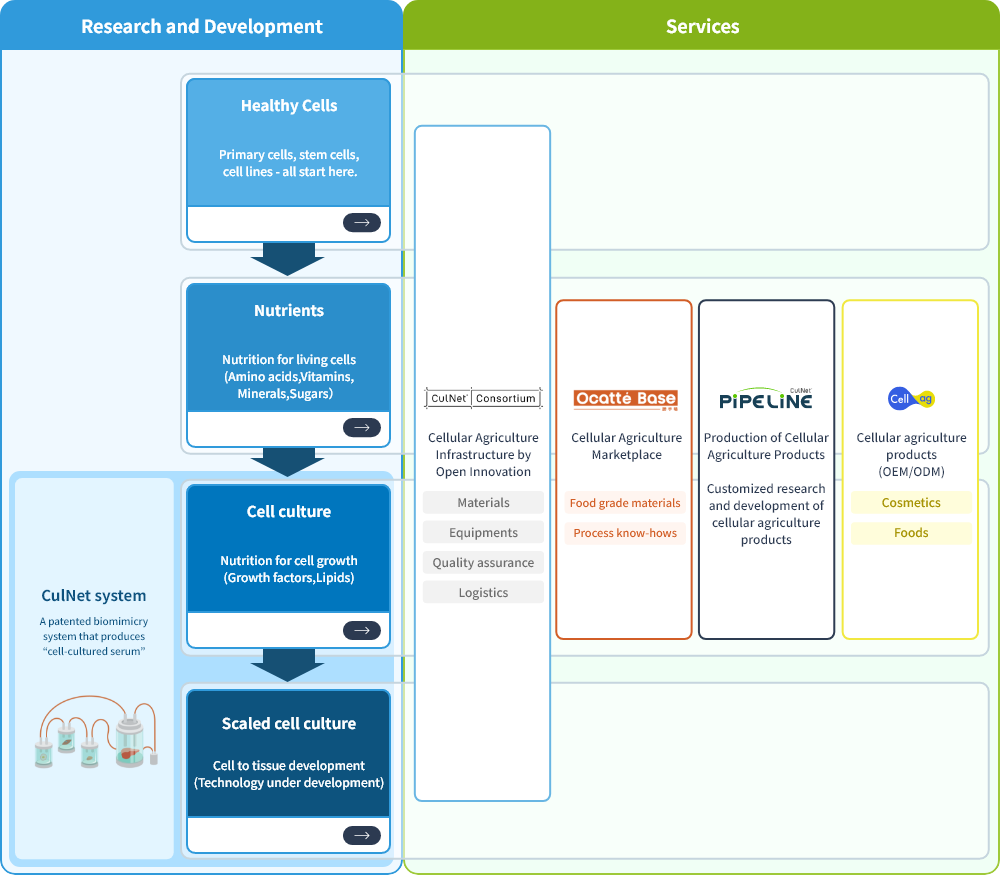 Business area diagram