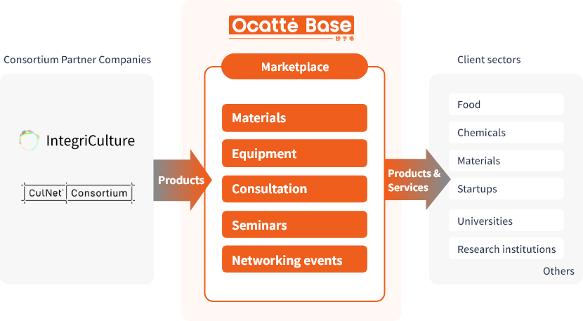 Ocatte Base image