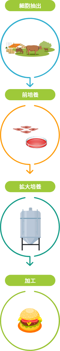 製造工程図